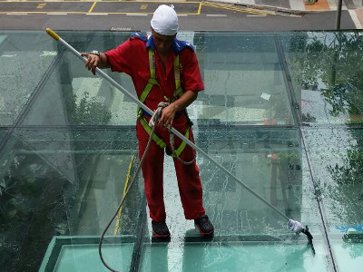 Canopy Cleaning